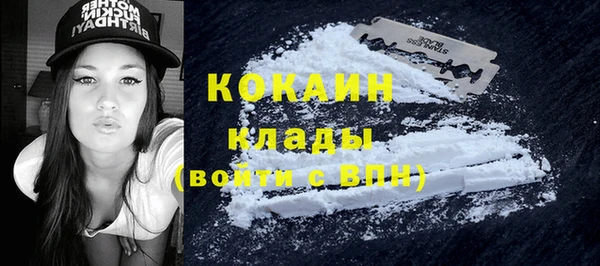 стафф Дмитровск