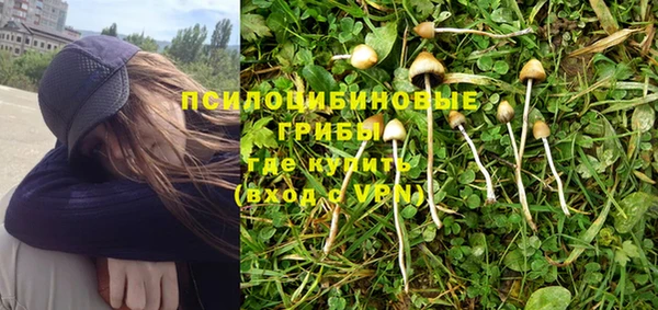 стафф Дмитровск