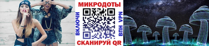 Псилоцибиновые грибы Psilocybe  Купить закладки  Задонск 