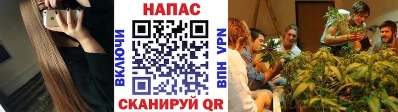 Купить закладки  Задонск  МАРИХУАНА планчик 